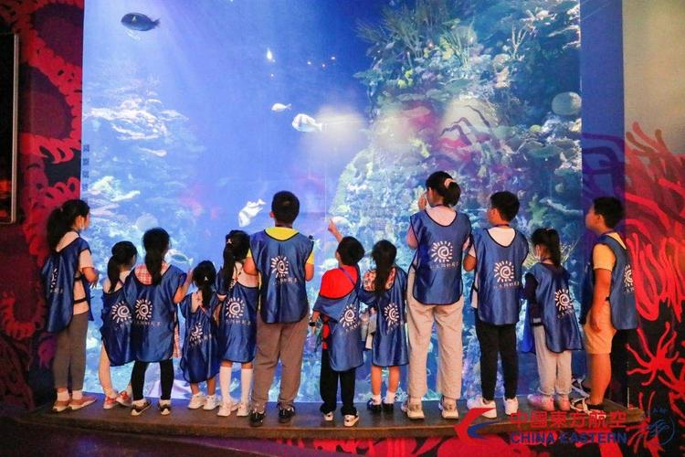 圖為小游客打卡上海長風(fēng)海洋世界"東方小飛人"夜宿活動(dòng) 東方航空供圖