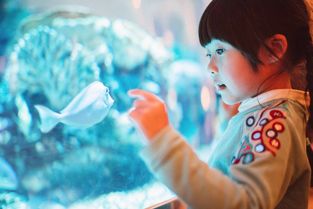 Reef Systems水族 來自新加坡的全球經(jīng)典水族工程設(shè)計(jì)建造專家