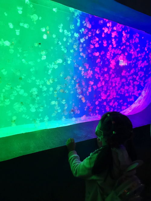 國(guó)慶假期海洋館暢玩 情侶朋友拍照打卡
