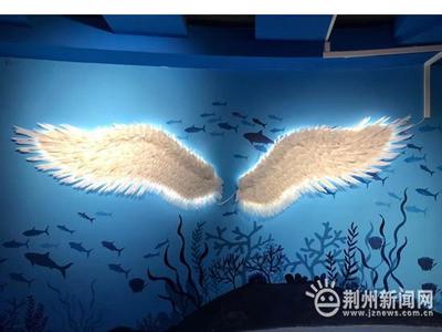 來啦!一批海洋萌物將入住荊州小梅沙海洋館