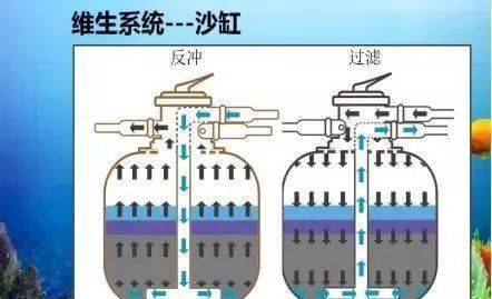 海洋科考魔法營,現(xiàn)實(shí)版 狼人殺 海底王國科普闖關(guān)...
