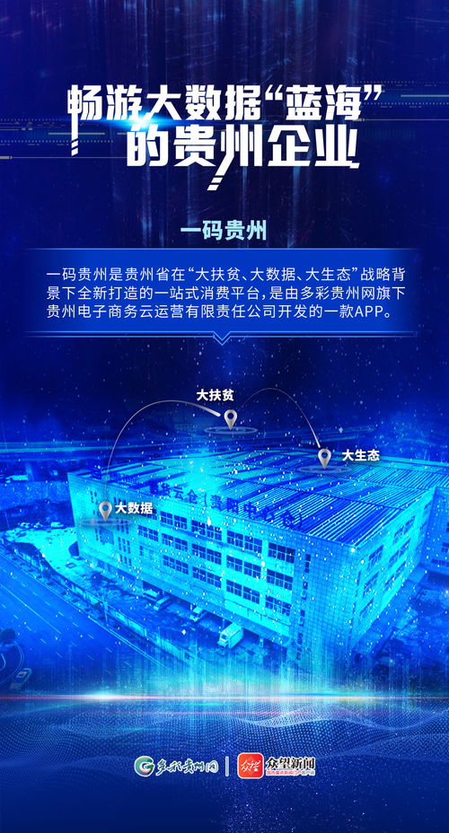 暢游大數(shù)據(jù) 藍(lán)海 的貴州企業(yè)