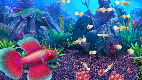 養(yǎng)魚大亨2虛擬水族館下載|養(yǎng)魚大亨2:虛擬水族館 (Fish Tycoon 2: Virtual Aquarium)硬盤版 下載