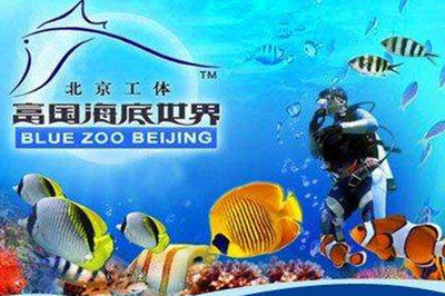水族館帶你走進(jìn)海洋深處