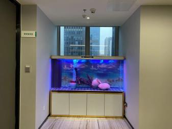 金陽眾彩水族館經(jīng)營精品魚缸高中檔魚缸清洗魚缸維護(hù)