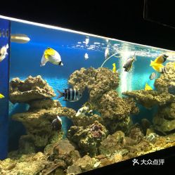 電話,地址,價格,營業(yè)時間 陽西縣周邊游