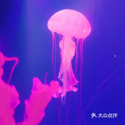 電話,地址,價格,營業(yè)時間 圖 鄂爾多斯周邊游