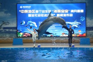 中原地區(qū)出生的頭胎小海豚滿月了 全城送祝福溫暖 滿月喜宴