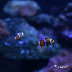 電話,地址,價(jià)格,營(yíng)業(yè)時(shí)間 雙流區(qū)周邊游