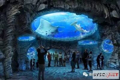 獨(dú)家定制線路--上海水族館、科技館一日游