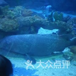 曲江海洋館地址,電話,團(tuán)購(gòu),營(yíng)業(yè)時(shí)間 西安文化藝術(shù)