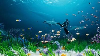 模擬水族造景