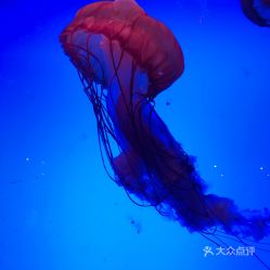 電話 地址 價格 營業(yè)時間 新華北路動植物園團(tuán)購 烏魯木齊周邊游