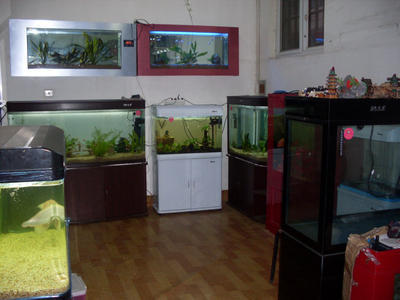 合肥深海水族館-中國貿(mào)易網(wǎng)-會員網(wǎng)站