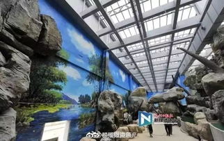三分鐘新聞丨全球最大規(guī)模室內(nèi)海洋館8月永泰開(kāi)業(yè) 1000多種海洋動(dòng)物,百米海底隧道