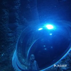 電話(huà) 地址 價(jià)格 營(yíng)業(yè)時(shí)間 蛟龍港動(dòng)植物園團(tuán)購(gòu) 雙流區(qū)周邊游