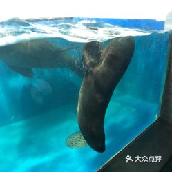 電話(huà),地址,價(jià)格,營(yíng)業(yè)時(shí)間 雙流區(qū)周邊游