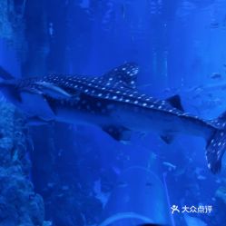 電話,地址,價(jià)格,營(yíng)業(yè)時(shí)間 雙流區(qū)周邊游