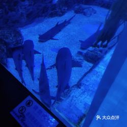電話,地址,價格,營業(yè)時間 鄭州休閑娛樂