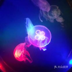 電話,地址,價格,營業(yè)時間 鄭州周邊游