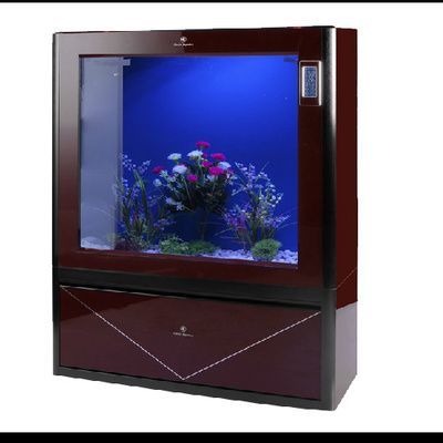 奎屯愛魚水族館(奎屯愛魚水族館經(jīng)營產(chǎn)品:觀賞魚,漁具的零售,依法須經(jīng)批準的項目)