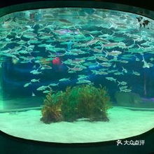 電話,地址,價(jià)格,營業(yè)時(shí)間 廣州周邊游