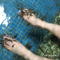 電話,地址,價(jià)格,營業(yè)時(shí)間 陽西縣周邊游