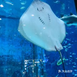 電話,地址,價(jià)格,營業(yè)時(shí)間 北京周邊游