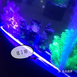電話,地址,價(jià)格,營業(yè)時(shí)間
