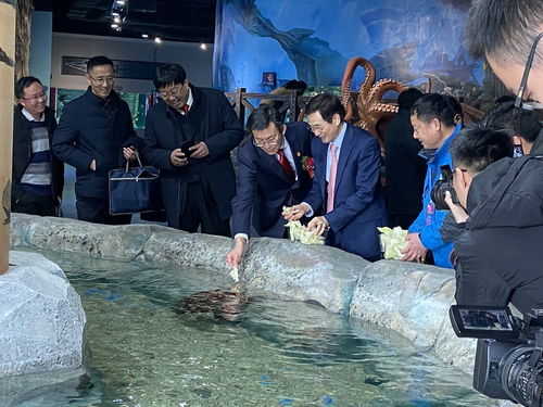 周口海洋館今日舉行盛大的開(kāi)業(yè)典禮,熱烈祝賀2020.1.1日正式營(yíng)業(yè)
