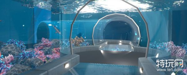 水族館有什么特色內(nèi)容