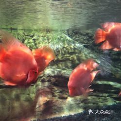 電話,地址,價(jià)格,營(yíng)業(yè)時(shí)間 圖 北京周邊游