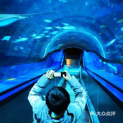 電話,地址,價(jià)格,營(yíng)業(yè)時(shí)間 圖 北京周邊游