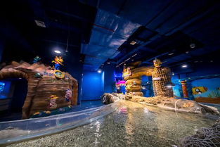淮安龍宮大白鯨極地海洋館試營(yíng)業(yè)