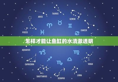 天津市東麗區(qū)秀利通觀賞魚水族館(天津市東麗區(qū)秀利通觀賞魚水族館經(jīng)營產(chǎn)品:觀賞魚、水族箱零售)