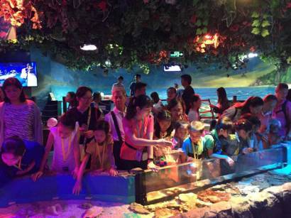 水母怎樣繁殖 海洋館后場(chǎng)怎么運(yùn)作 海洋學(xué)堂帶你一起,探索深海的秘密