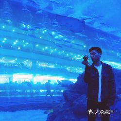 電話,地址,價格,營業(yè)時間 雙流區(qū)周邊游