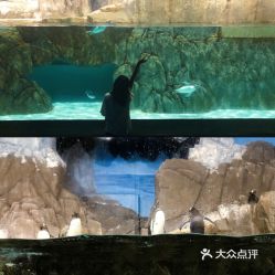 電話,地址,價格,營業(yè)時間 雙流區(qū)周邊游