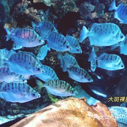 電話,地址,價格,營業(yè)時間 圖 北京周邊游