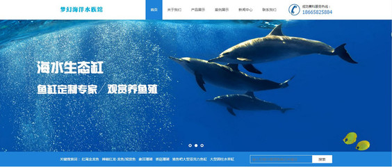 成功與深圳市南山區(qū)夢幻海洋水族館達成網(wǎng)站建設(shè)項目