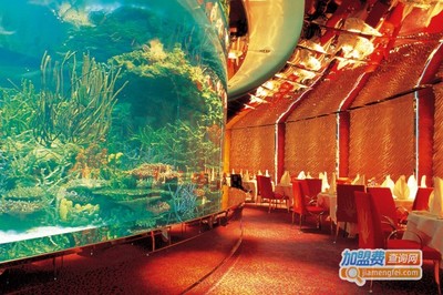 樂百佳水族館_樂百佳水族館_創(chuàng)業(yè)首選!