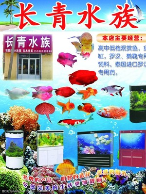 水族館類單頁圖片