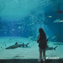 電話,地址,價格,營業(yè)時間 圖 北京周邊游