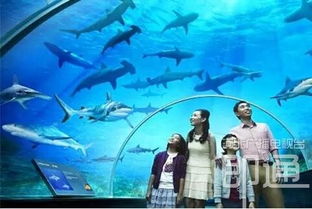 衡水 首家大型主題樂園7月試營業(yè)