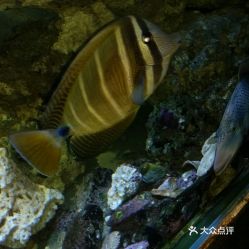 電話,地址,價(jià)格,營(yíng)業(yè)時(shí)間 陽(yáng)西縣周邊游