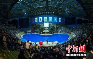 天恒創(chuàng)新房地產(chǎn)營(yíng)銷模式 不用售樓處就能賣房子