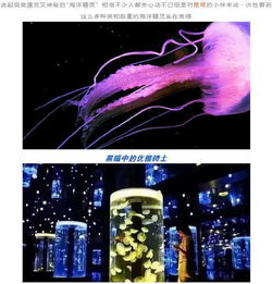坑 吾悅廣場(chǎng)海洋館還不如花鳥市場(chǎng) 官方 已責(zé)令其暫停營(yíng)業(yè)