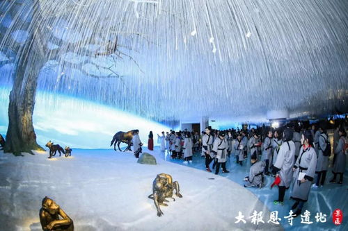又獲獎啦 體驗考察類優(yōu)秀獎
