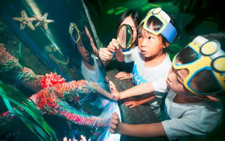 定了 沈陽人自己的海洋館將在這天開業(yè) 優(yōu)惠早鳥票銷售倒計時