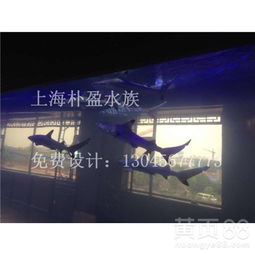 【銀川訂做盒馬鮮生魚缸公司_盒馬鮮生魚缸_盒馬鮮生魚缸銷售點】- 
